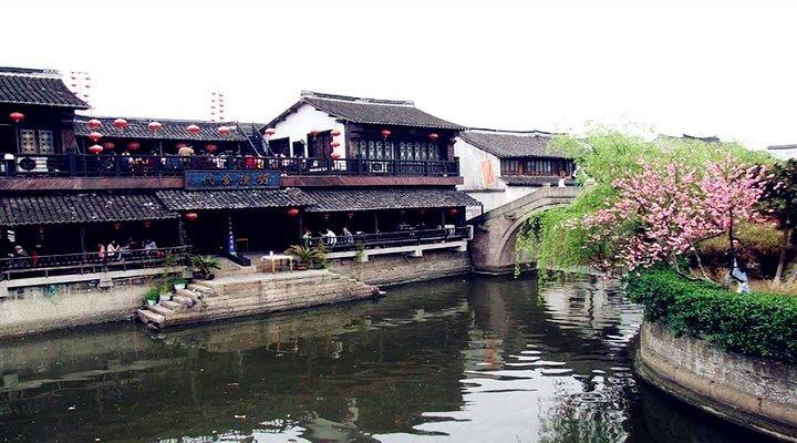 植物大战僵尸6